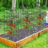 3-Pack Garden Trellis 40"/60" Tall Plant Support Stands with Clips and Ties