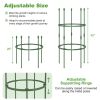 3-Pack Garden Trellis 40"/60" Tall Plant Support Stands with Clips and Ties